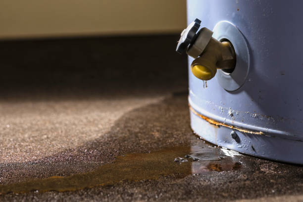 Best Emergency water extraction  in Mukilteo, WA