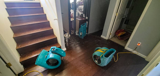 Best Flood restoration services  in Mukilteo, WA