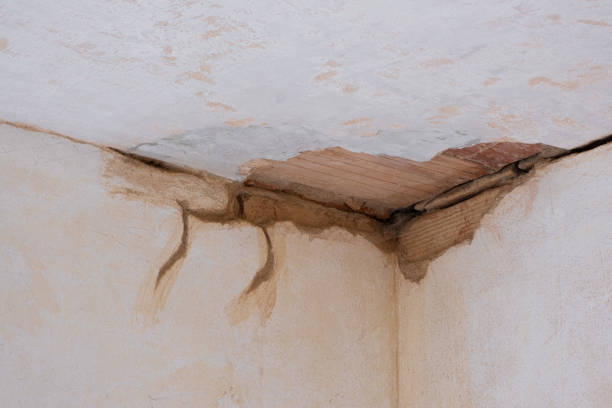 Best Fire Damage Restoration  in Mukilteo, WA