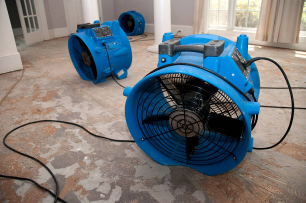 Best Water damage cleanup near me  in Mukilteo, WA