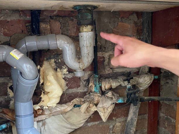 Trusted WA Water damage restoration Experts