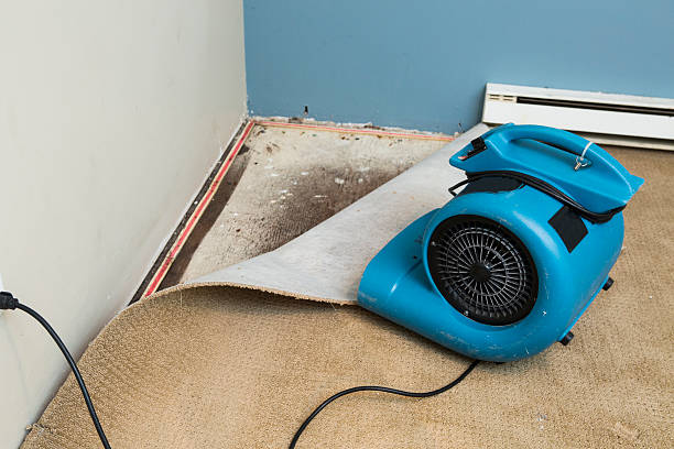 Best Carpet water damage restoration  in Mukilteo, WA